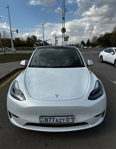 tesla-model-y-performance