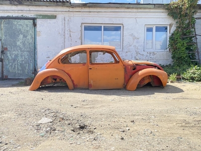 Volkswagen Beetle (ЖУК)