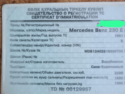 Mercedes Benz 230
