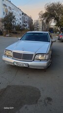 кабан-s600-sel-long