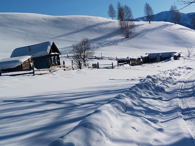 Продам дом с большим участком