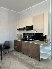 1-комн. квартира , 26.6м² , 10/10 этаж