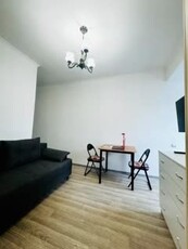 1-комн. квартира , 30м² , 2/10 этаж