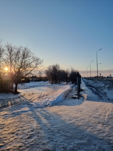 СРОЧНО сад Яблонька Дачный земельный участок