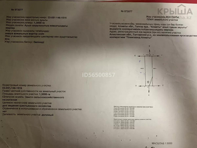 Участок 1.3 га, Енбекши