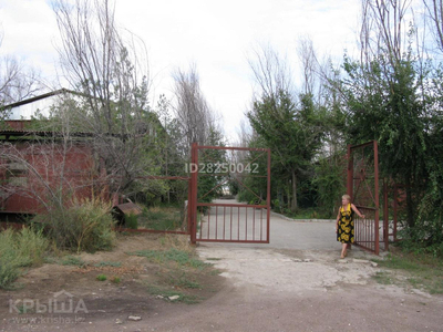 Зона отдыха на Северном побережье озера Капшагай (Капчагай)