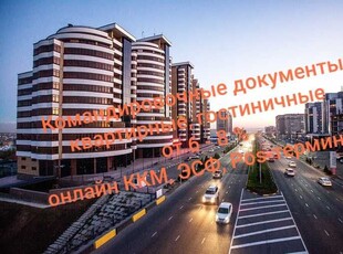 Командировочные документы, ЭСФ. Квартиры посуточно