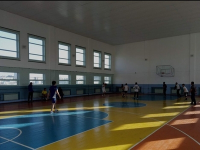 Аренда волейбольного и баскетбольного зала