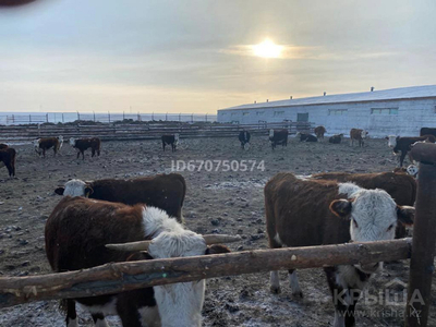 Крестьянское хозяйство