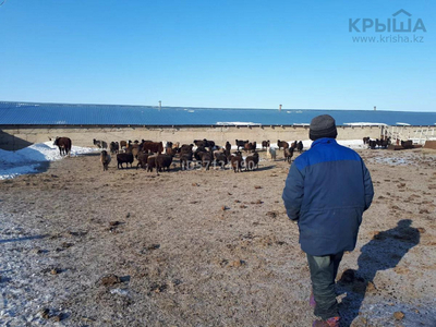 Действующее крестьянское хозяйство в г.Актобе