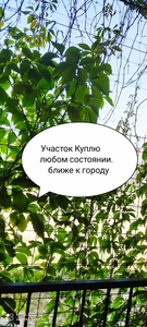 Продам контейнер ст.р. Эталон