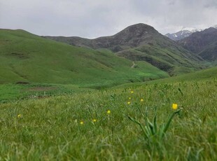 Срочно продаётся фазенда в горах